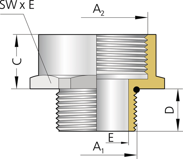 K18_ERW_Ms_6kt_MPg_Illu_A