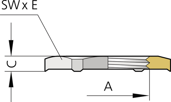 K18_GGM_PZA_Ms_M_Illu