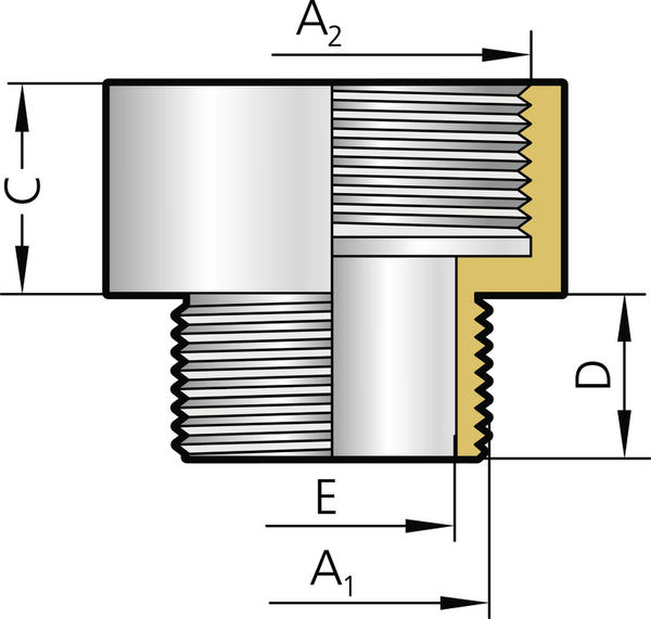 K11_ERW_Ms_R_PgPg_Illu_B